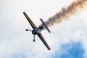 Sukhoi Su-31